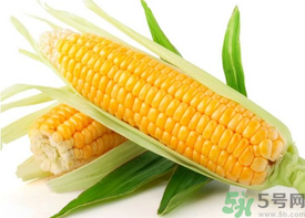 新鮮玉米怎么保存？鮮玉米怎么保存？