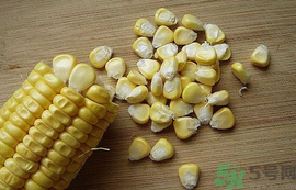 玉米?？梢葬炇裁呆~？玉米粒釣魚方法