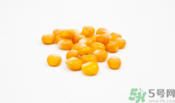 玉米?？梢葬炇裁呆~？玉米粒釣魚方法
