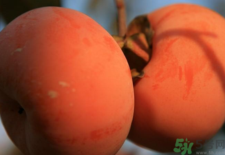 大柿子不能和什么同吃？大柿子和什么食物相克？
