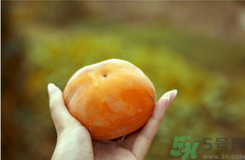 凍柿子和酸奶可以一起吃嗎？?jī)鍪磷雍退崮虝?huì)中毒嗎？
