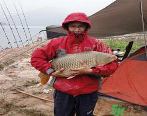 十月份可以釣魚嗎？十月份釣魚用什么餌料？