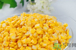 秋天釣魚用什么餌料？秋季釣魚用什么餌料好？