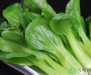 青菜可以放冰箱嗎？青菜能放冰箱保鮮嗎？