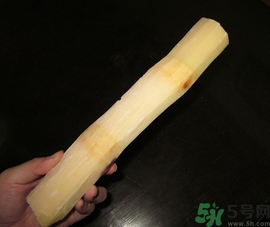 甘蔗可以放冰箱嗎？甘蔗放冰箱能保存多久？