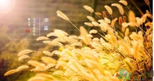 寒露吃什么好？寒露食療
