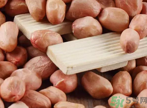 生花生吃多了會(huì)怎么樣？生花生吃多了會(huì)長(zhǎng)胖嗎？