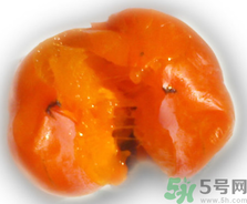 新鮮柿子皮可以吃嗎？吃了柿子皮怎么辦？