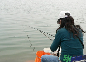秋天釣鯉魚用什么味型？秋季釣鯉魚餌料味型