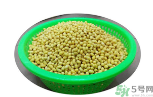 新鮮黃豆怎么保存？新鮮黃豆米如何保存？