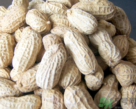 新鮮花生可以放冷凍嗎？新鮮花生可以放冰箱嗎？
