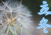 立冬可以釣魚(yú)嗎？立冬釣魚(yú)注意事項(xiàng)