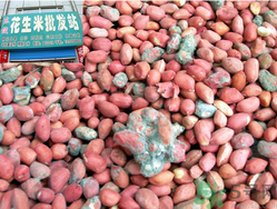 花生米發(fā)霉了還能吃嗎？花生米發(fā)霉了怎么辦？