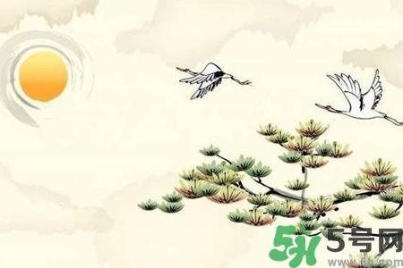 重陽節(jié)吃什么好？重陽節(jié)吃什么食物？