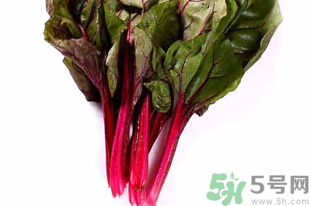 甜菜是蘿卜嗎？甜菜和蘿卜的區(qū)別