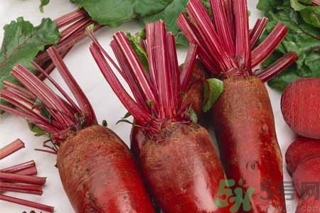 甜菜的營(yíng)養(yǎng)價(jià)值 甜菜的功效與作用