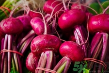 吃甜菜有什么好處？吃甜菜對身體好嗎？