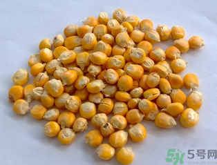 玉米用什么泡釣魚好？玉米怎么泡好釣魚？