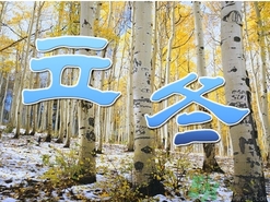 立冬可以栽樹(shù)嗎？立冬栽樹(shù)樹(shù)會(huì)死嗎？