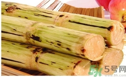 甘蔗過夜了能吃嗎？隔夜的甘蔗可以吃嗎？