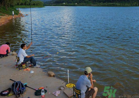 秋天釣魚是什么時(shí)候？秋天釣魚什么時(shí)候最好？