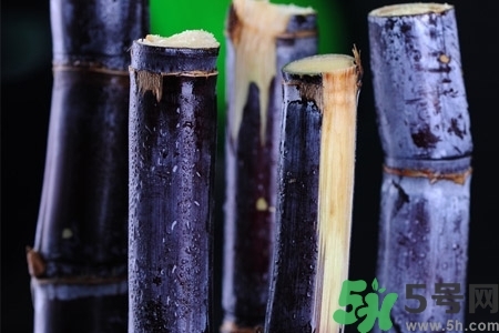甘蔗一天吃多少最好？甘蔗能每天都吃嗎？