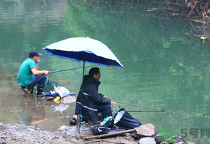 釣的魚怎么保存？釣的魚吃不完怎么保存？