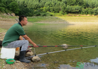 釣的魚怎么保存？釣的魚吃不完怎么保存？