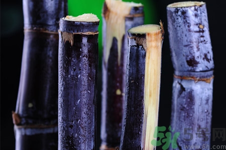 老人一天吃多少甘蔗最好？老人一天吃多少甘蔗合適？