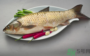 秋天怎么釣草魚？秋天草魚好釣嗎？