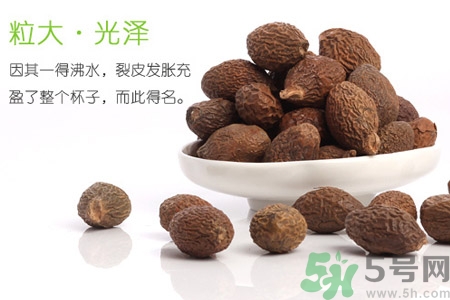 胖大海泡水后能吃嗎？胖大海的功效與作用