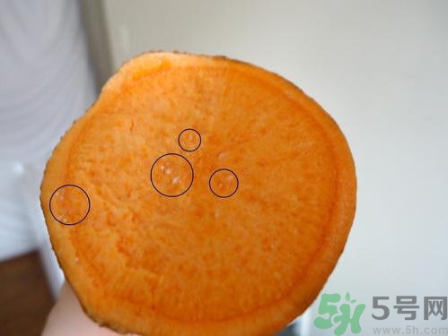 番薯發(fā)芽還能吃嗎？山芋發(fā)芽還能吃嗎？