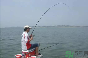 陰天好釣魚嗎？陰天釣魚好釣嗎？