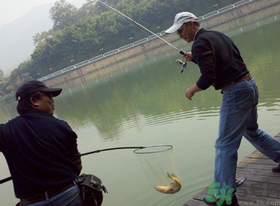 秋季釣黑魚用什么魚餌？秋天釣黑魚用什么餌？