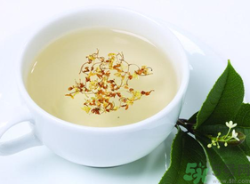 新鮮桂花能泡茶嗎？新鮮桂花怎么處理泡茶？