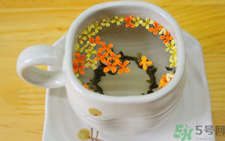 剛摘的桂花可以泡茶嗎？剛摘的桂花能泡茶嗎？