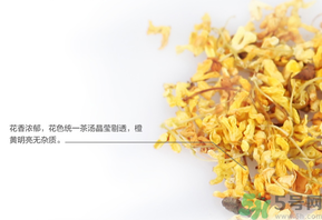 新鮮桂花可以泡水喝嗎？新鮮桂花泡水喝有什么好處？