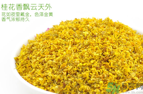 剛摘的桂花有蟲怎么辦？干桂花長蟲怎么辦？