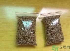 桂花怎么曬干？桂花曬好后可以做什么？