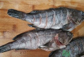黑魚怎么洗掉身上的粘液?黑魚怎么洗才干凈? 黑魚怎么洗掉身上的粘液?黑魚怎么洗才干凈?