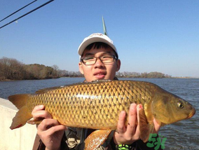 夜釣鯉魚用什么餌料？秋天夜釣鯉魚用什么餌料？