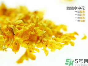 桂花可以泡水喝嗎？桂花怎么泡水？