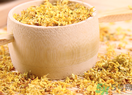 新鮮桂花能泡茶嗎？新鮮怎么處理泡茶？