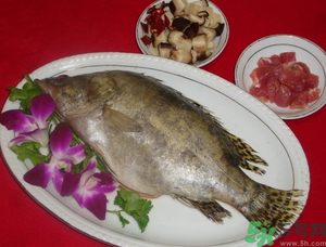 桂魚怎么保存？桂魚放冰箱怎么保存？