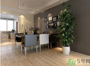 桂花樹可以種在室內(nèi)嗎？桂花樹適合在室內(nèi)嗎？