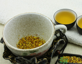 桂花茶怎么搭配效果好？桂花茶搭配什么好？