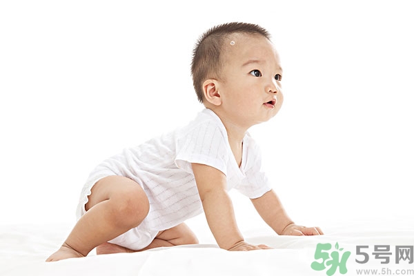 吃南瓜子可以打蟲(chóng)嗎,南瓜子能打蛔蟲(chóng)嗎？