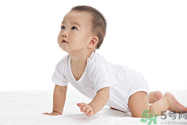 吃南瓜子可以打蟲(chóng)嗎,南瓜子能打蛔蟲(chóng)嗎？