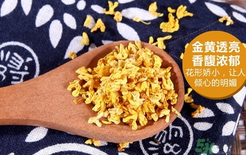 喝桂花茶會上火嗎？喝桂花茶上火怎么辦？