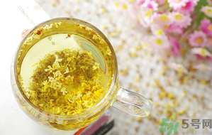 月經(jīng)期能喝桂花茶嗎？經(jīng)期能喝桂花茶嗎？